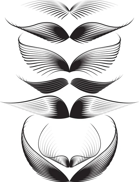 Conjunto de alas — Archivo Imágenes Vectoriales