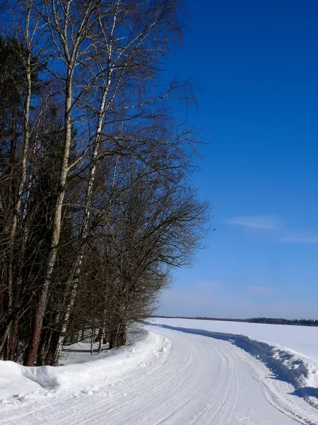 Route d'hiver. — Photo