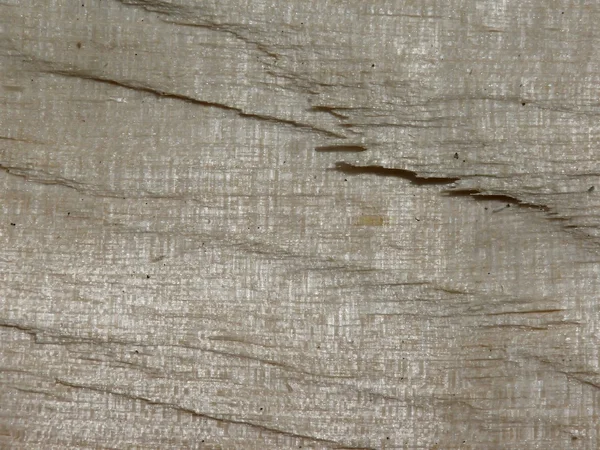 Wood. Board. Texture. — Stock Photo, Image