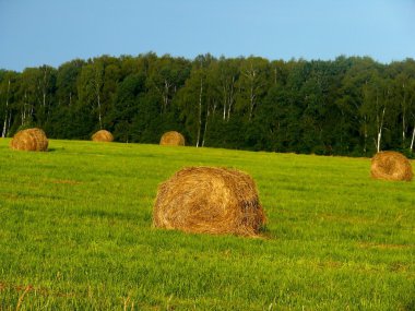 haystacks. Yaz çayır. manzara.