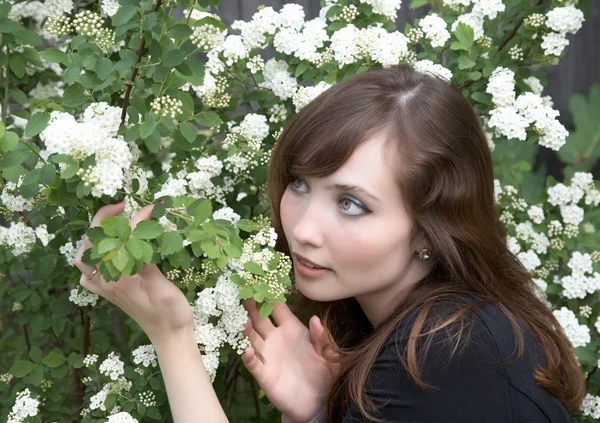 Girl in the spring afternoon at a bush — Stock Photo, Image