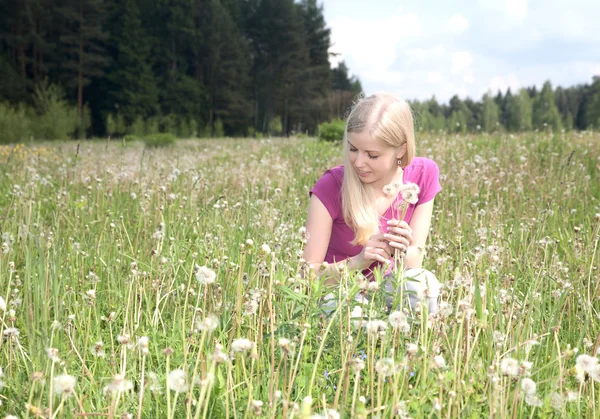 Girl collects in the field dandelions spring afternoon — Stock Photo, Image