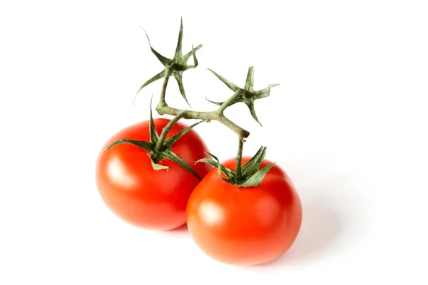 Kırmızı domates yeşil yaprakları ile — Stok fotoğraf