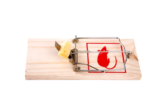 stock image Mousetrap with cheese isolated
