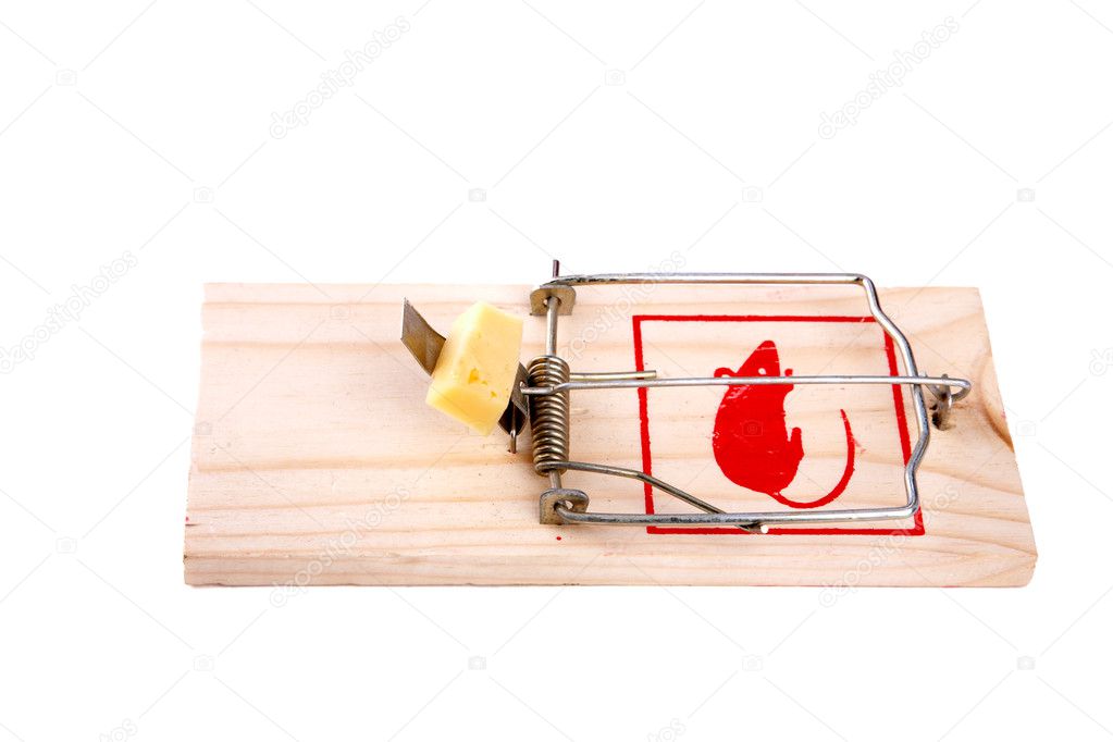 Mousetrap with cheese isolated