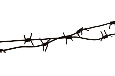 Barbed wire and ant clipart