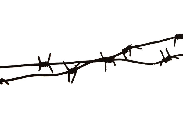 Barbed wire and ant