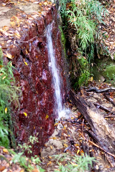 Pequena cachoeira — Fotografia de Stock