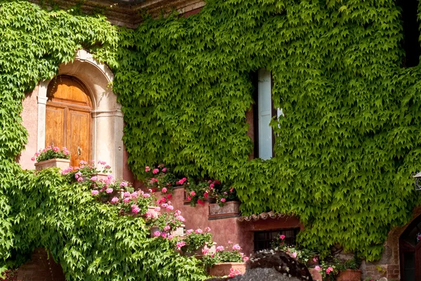 En trä dörr och murgröna — Stockfoto