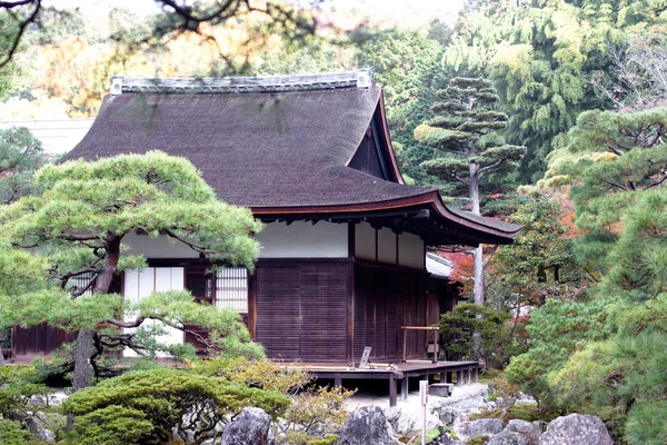 Japanse herfst tuin — Stockfoto