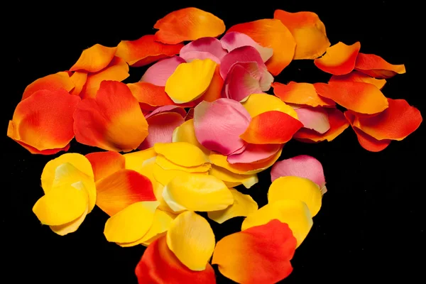 Oranje, gele en roze roos textiel bloemblaadjes — Stockfoto