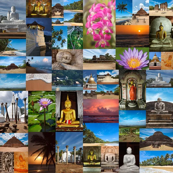 stock image Collage of Sri Lanka images