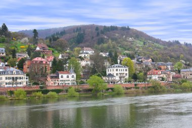 evlere neckar riverbank Heidelberg