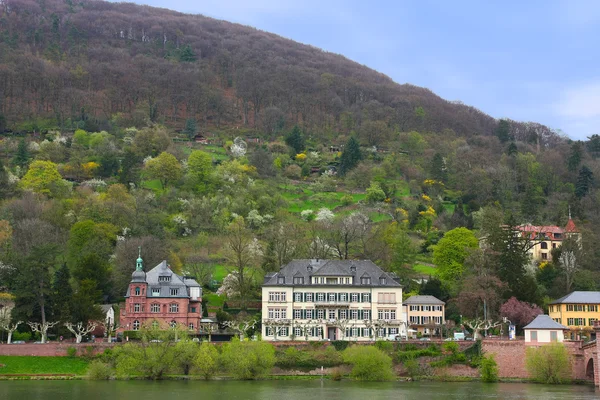 Domy na břehu řeky neckar v Heidelbergu — Stock fotografie