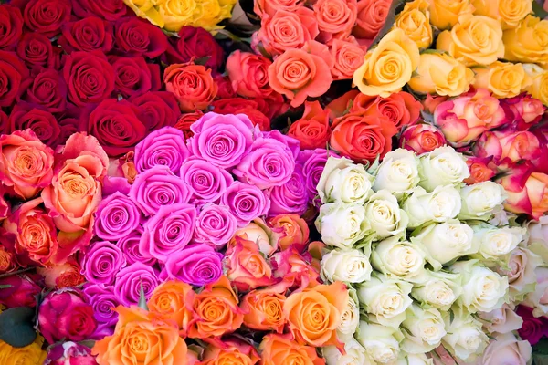 Obří růže kytice — Stock fotografie