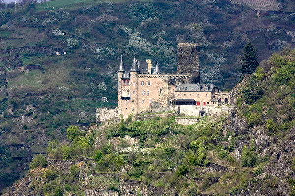 stock image Burg Katz St. Goarshausen