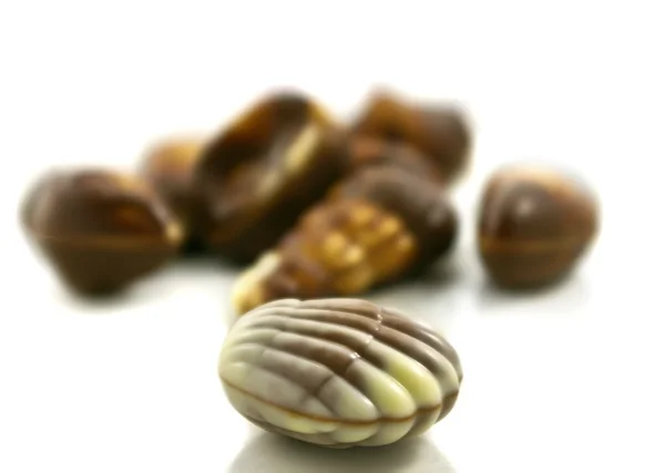 Čokoládové mušle — Stock fotografie