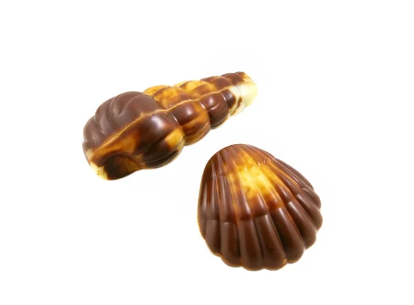 Cioccolato Seashells — Foto Stock