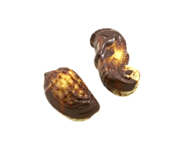 Шоколадные ракушки — стоковое фото