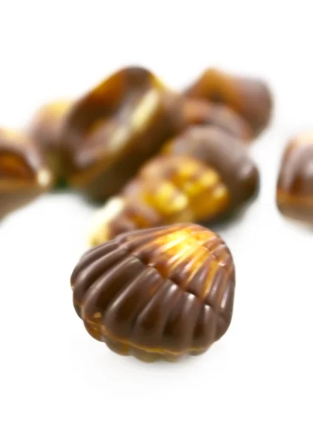 Chocolate seashells — Stock Photo, Image