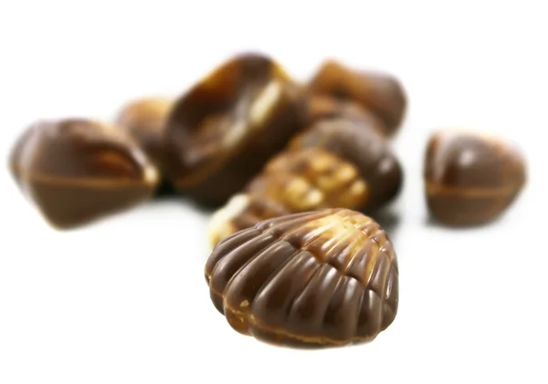 초콜릿 조개 — 스톡 사진