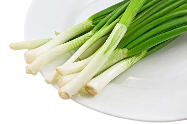 Grüne frische Zwiebel auf weißem Hintergrund — Stockfoto