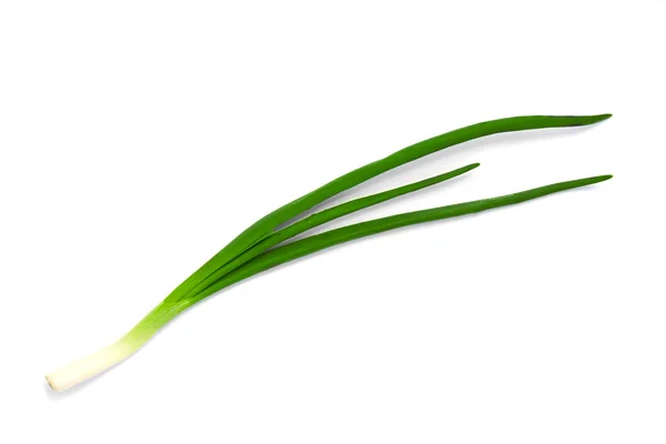 A fehér alapon zöld friss hagyma — Stock Fotó