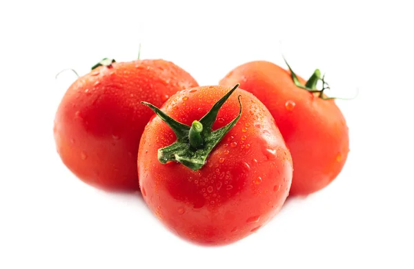 分支与白鲜熟的西红柿 — 图库照片