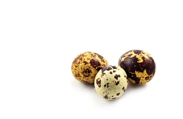 Codorniz moteada huevos pequeños frescos en el blanco — Foto de Stock