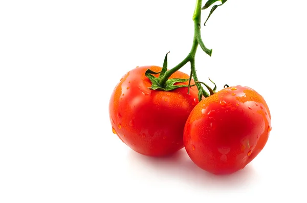 Ramo com tomates maduros frescos em branco — Fotografia de Stock