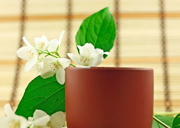 Friss zöld tea, jázmin fehér virágokkal — Stock Fotó