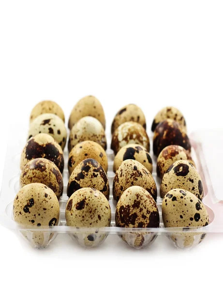 Codorniz moteada huevos pequeños frescos en el blanco — Foto de Stock