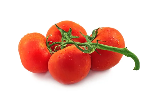 Ramo con pomodori maturi freschi su bianco — Foto Stock