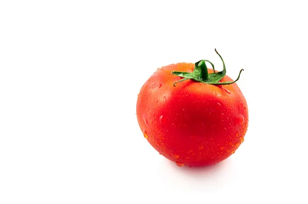 Pojedynczy świeżych dojrzałych pomidorów — Zdjęcie stockowe
