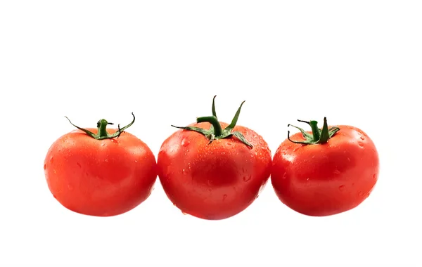 Üç taze domates. — Stok fotoğraf