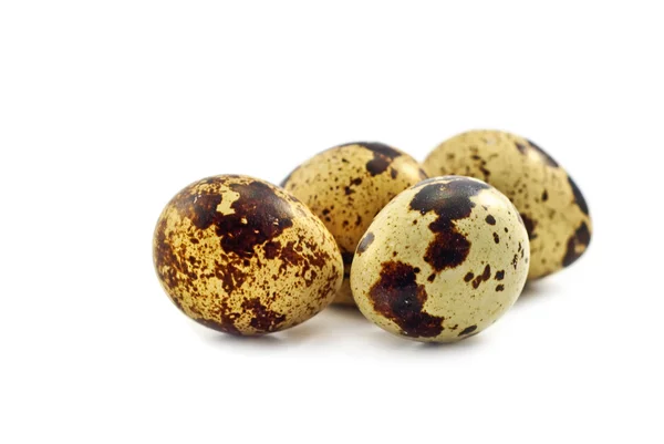 Ορτύκια αυγά στο λευκό — 图库照片