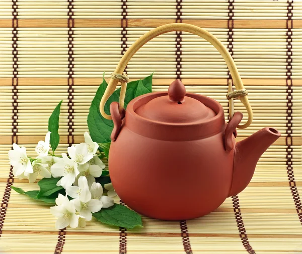 Jasmin tea — Stock Photo, Image