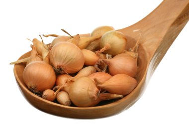 Hill of small onions clipart