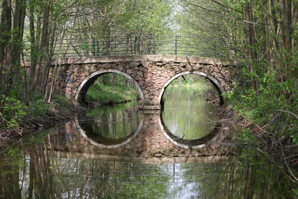 Мост и рефлекс — стоковое фото
