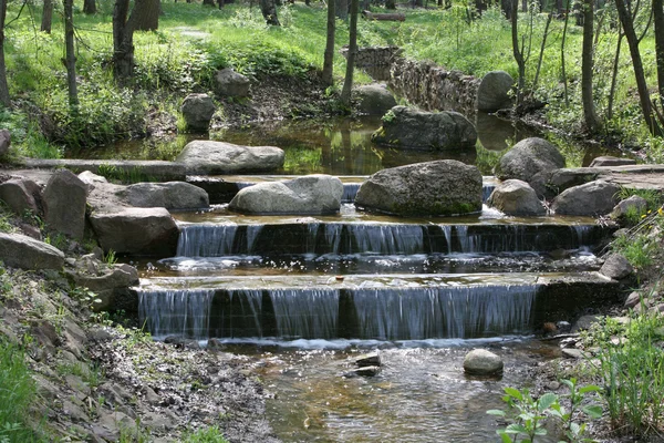 stock image Stream in wood