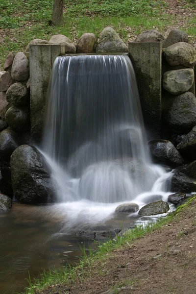 stock image Stream in wood