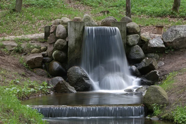 stock image Stream in wood