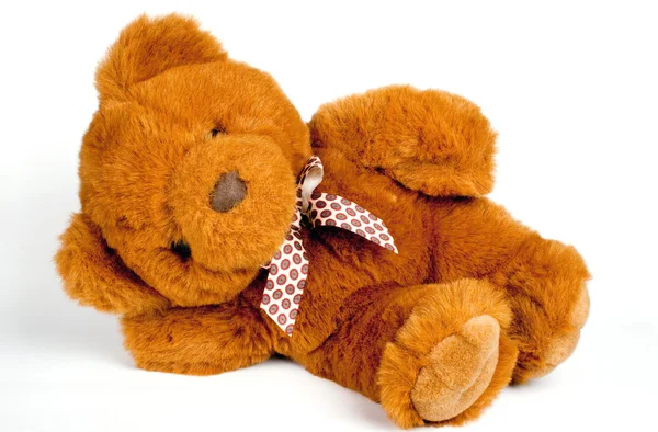 Teddy... — Fotografia de Stock