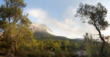 Doğa Panoraması