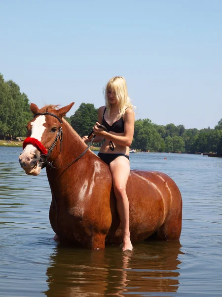 Купание красной лошади — стоковое фото
