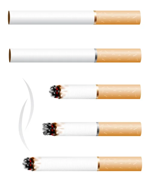 Sigara — Stok Vektör