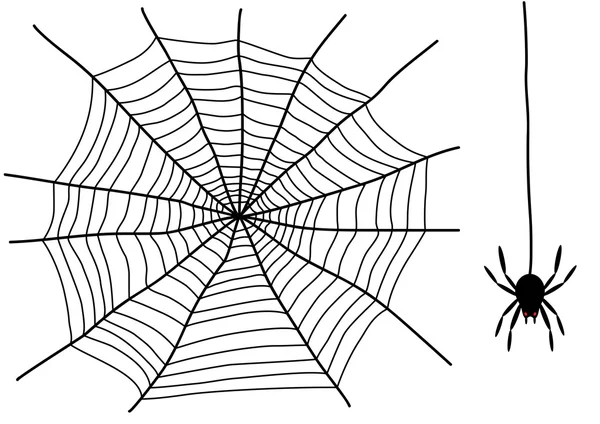 Svart spindel — Stock vektor