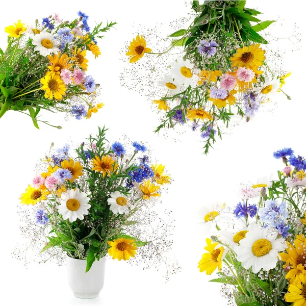 新鲜花束的集合 — 图库照片