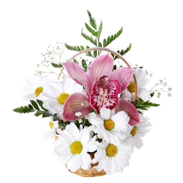 Fresh bouquet with daisy and orchid — Stock Photo, Image