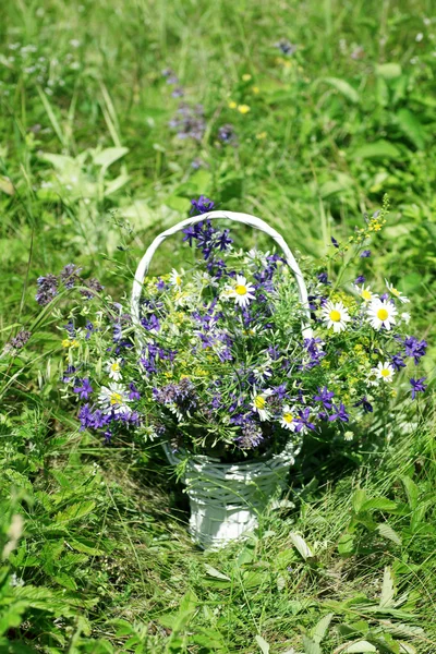 Basket with fresh spring flower — Stock Photo, Image